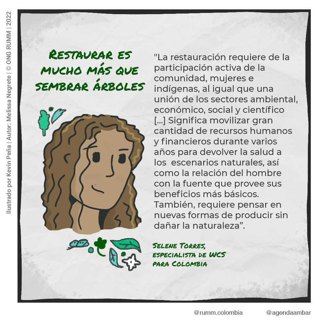 Restauración ecológica: Retos y oportunidades en Colombia
